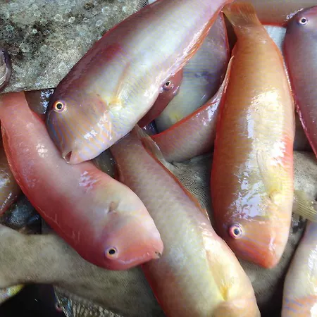 Loy Loy House Βίλα Κοιλάδα