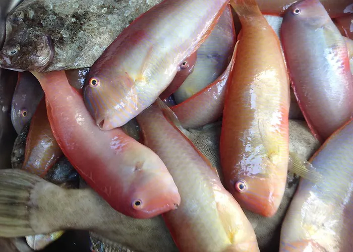 Loy Loy House Villa Koilás